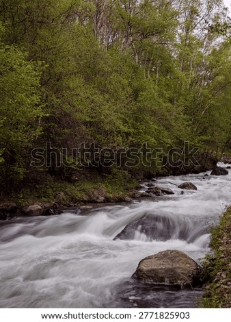 Vertical view of mountain river rapids flowing through forest in Andorra, with silky moving water, rocks, and soft natural light.