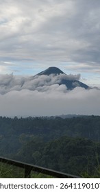 Vertical View of Mountain Summit Enveloped in Clouds Above Forest