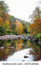 Vertical View On Morning Nature Landscape Of Tea Creek River In Colorful Autumn Fall With Forest Trees Foliage And Rocks Stones In Shallow Water With Reflection In West Virginia