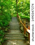 Vertical view of an outdoor set of steps with large wooden guardrails made of post and beams. The handrail in on the right side of the stairs. Along Seven Bridges Trail in South Milwaukee Wisconsin.