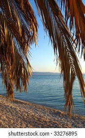 Vertical view of a palm tree on a beach at sunset.