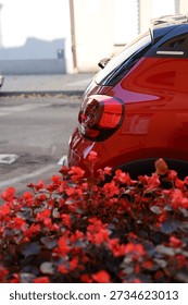 Vertical view of a rear side of a small, urban, shiny, red parked car with red flowers in the foreground