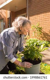 Vertical View Of Senior Woman Kneeling And Holding Pot Plant Outside In Garden On Sunny Day (selective Focus)