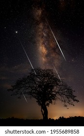 Vertical  view of the shooting stars
 and Milky Way with a silhouette of dark acacia trees near a lake in the mountain,in Masai Mara, Kenya,africa.