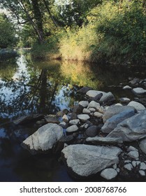 Vertical view of a slow-moving stream with rocks in the foreground and a vegetation and reflection in the background.
