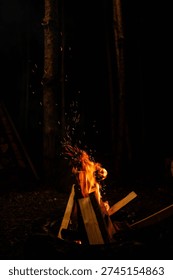 A vertical view of a small campfire burning in the middle of a dark forest, with orange flames consuming wood logs and golden sparks rising into the pitch-black night sky.