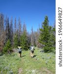 Vertical view of through hikers on the Continental Divide Trail in Montana