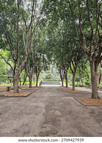 Vertical view of a tranquil path lined by lush green trees in Agua Azul Park, Guadalajara, Mexico. A modern geodesic dome is seen ahead