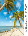 Vertical view of two palm trees in the foreground on Sombrero Beach in Marathon Florida Keys with tropical beach scenery