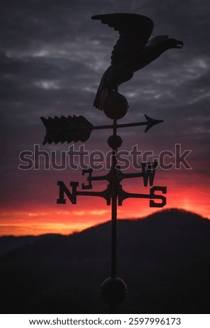 A vertical of weather vane with an eagle on the top against a fiery sunset