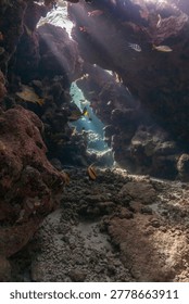 Vertical wide-angle shot of dramatic sunbeams piercing through the ceiling of a coral reef cavern. This ethereal underwater landscape captures the serenity and adventure of scuba diving in the crystal clear waters of the Red Sea, Egypt. Perfect for travel, nature, and diving lifestyle concepts.