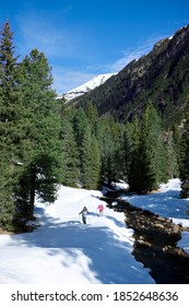 A Vertically Wide View Of A Senior Couple Hiking In The Snow While Walking Out Of The Woods