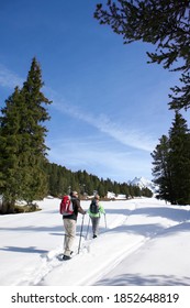 A Vertically Wide View Of A Senior Couple Hiking On A Trail In The Wilderness Covered In Snow