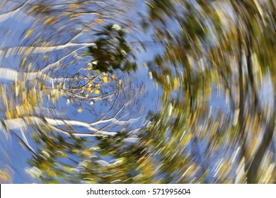 Vertigo, Dizzy, Nature, Illness, Swirl/Autumn Swirling Trees