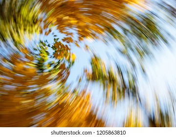 Vertigo, Dizzy, Tree Impression, Illness, Swirl/Autumn Swirling Trees