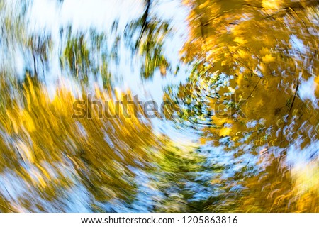 Vertigo, Dizzy, Tree impression, Illness, Swirl/Autumn Swirling Trees
