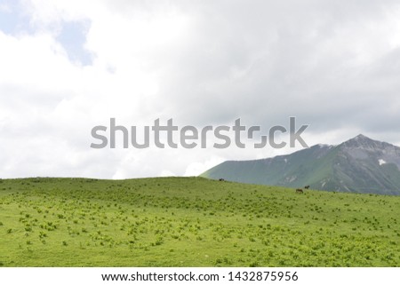 Similar – Altai Natur Landschaft