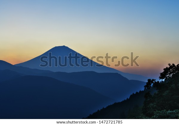 画像ページを表示します 画像