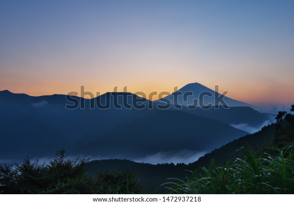 画像ページを表示します 画像