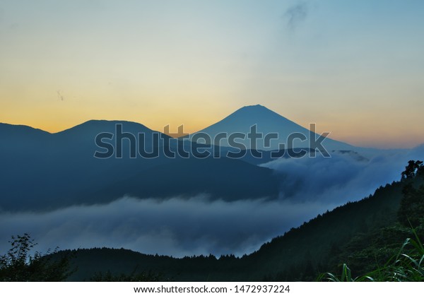 画像ページを表示します 画像