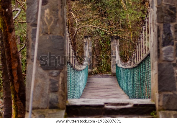very beautiful\
nostalgic bridge in nature