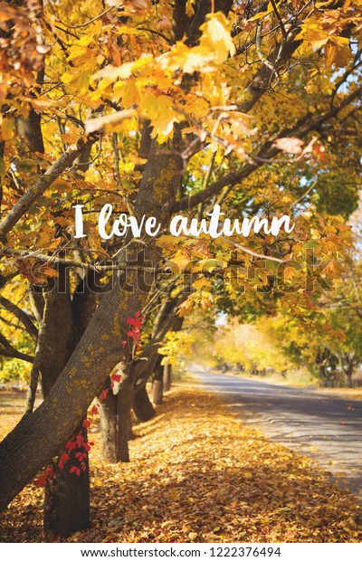Very beautiful road with\
golden leaves. Beautiful and warm autumn. Inscription I love\
autumn.