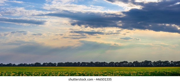 Aesthetic Agriculture Landscape Images Stock Photos Vectors Shutterstock