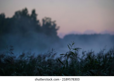 Very beautiful sunrise in summer over a foggy lake. Early morning in summer in nature. DEFOCUSED