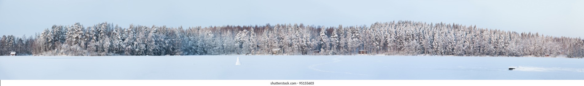 very big winter forest panorama view over lake