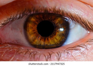 Very close macro photo of human eye. Human eye close-up detail with shallow depth of field.