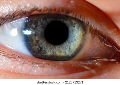 Very close macro photo of human blue eye. Human eye close-up detail with shallow depth of field.