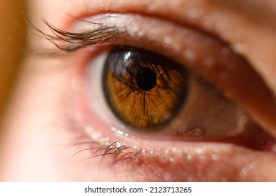 Very close macro photo of woman brown eye. Human eye close-up detail with shallow depth of field. Look away.
