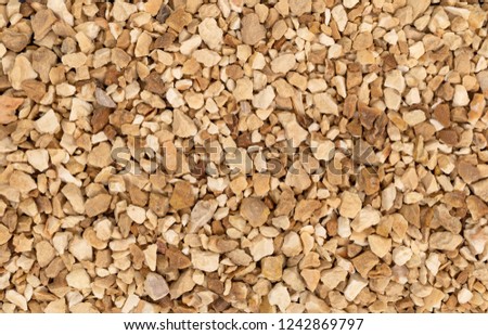 Very close view of a portion of cut orris root.