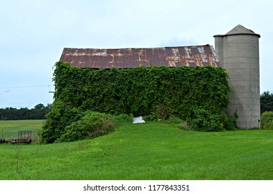 A Very Cool Barn Near Carson City, Michigan.