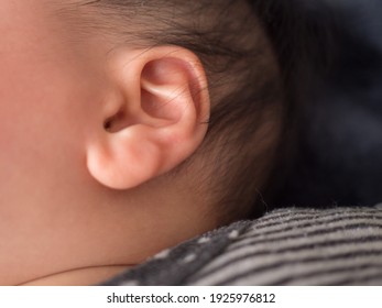 赤ちゃん 耳 の画像 写真素材 ベクター画像 Shutterstock