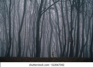 Very Dense Fog Forest Stock Photo 522067342 | Shutterstock