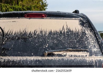 Very Dirty Rear Window Of The Car.