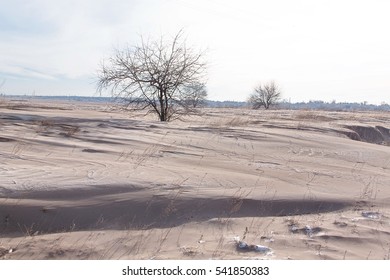 Very Dirty Snow As Result Of  Strong Wind. Wind Erosion Of Fertile Land. Aeolian Processes. Ukraine, Kiev Region.