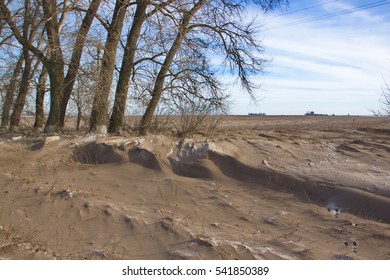 Very Dirty Snow As Result Of  Strong Wind. Wind Erosion Of Fertile Land. Aeolian Processes. Ukraine, Kiev Region.