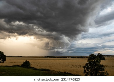 A very dramatic sky with a passing storm cloud. Late afternoon, sunlit clouds on the left, steel blue clouds on the right. Golden ripening field.