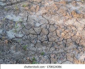 Very dried-out and cracked field soil