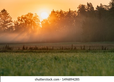 Very Early Morning - The Sun Rays Lights Through Very Hazy Air Just Above Forest And Grass Field From Red Orange Sky, No Clouds. Stocksjo Village, Close To Umea City, Vasterbotten County, Sweden