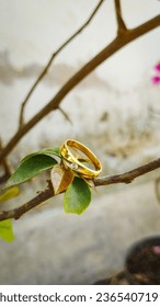 Very elegant gold ring for a birthday gift - Shutterstock ID 2365407191