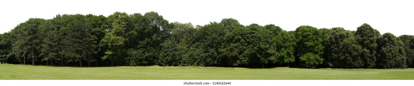 Very high definition Treeline isolated on a white background