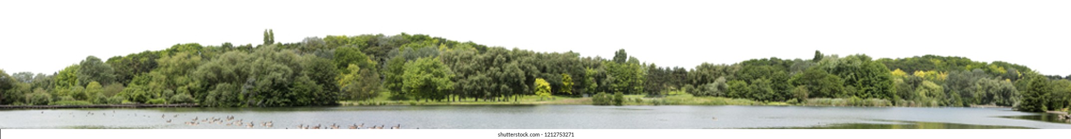 Very High Definition Treeline Isolated On A White Background