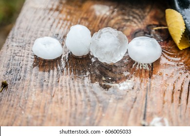 very large hail in the hands