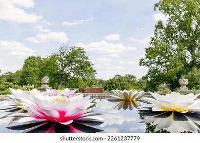 Very large white lilies in the pond. Landscaping design. Atlanta botanical garden. Beautiful summer magic sunny landscape with pond, trees and big flowers - Shutterstock ID 2261237779