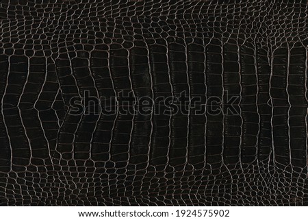 Very luxurious crocodile imitation leather texture used in textile industry, original skin