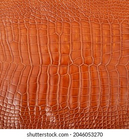 Very luxurious crocodile leather texture used in textile industry, original skin