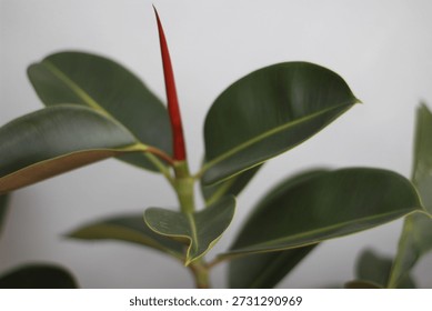 very nice background in open space